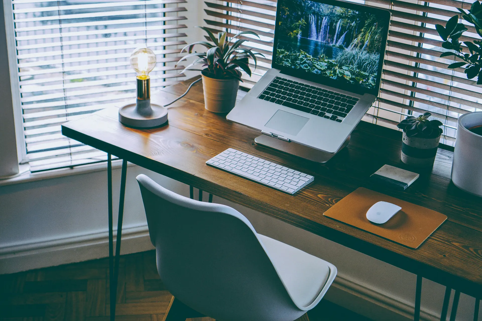 Business owner's organised workspace with laptop, keyboard, plant and warm desk lamp